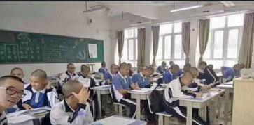 桃城学校爆料视频播放,揭秘校园内幕  第3张